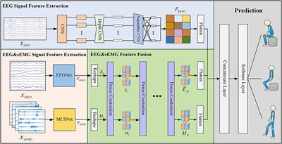 Multimodal Human-Exoskeleton Interface for Lower Limb Movement Prediction Through a Dense Co-Attention Symmetric Mechanism